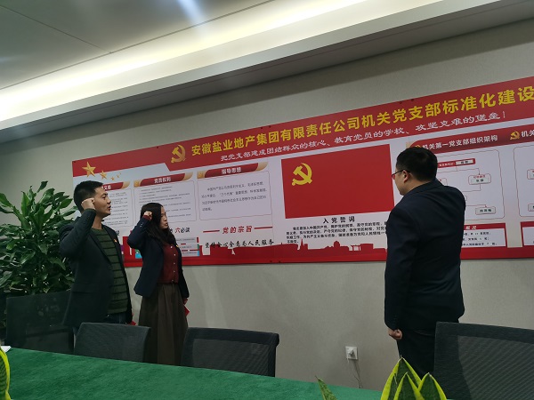 安徽鹽業(yè)地產(chǎn)集團機關第一黨支部開展“佩黨徽、誦誓詞、贈黨章、上黨課”黨員教育活動