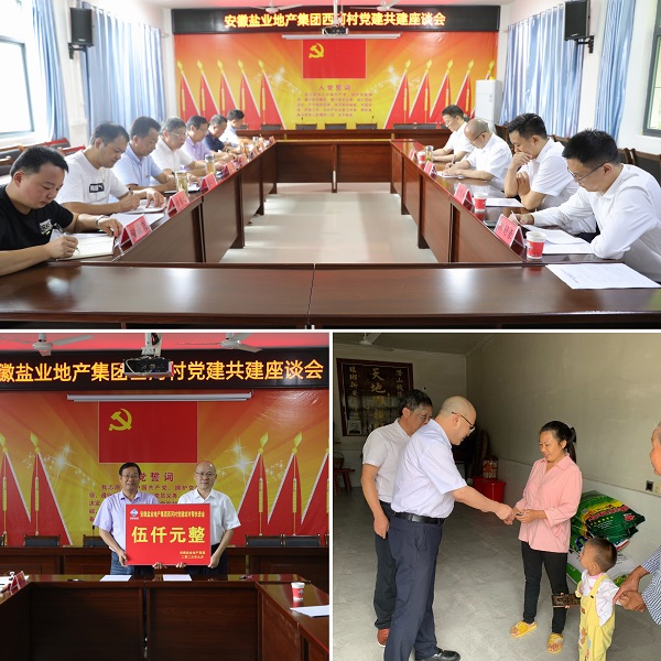 安徽鹽業(yè)地產(chǎn)集團黨委赴西河村開展結(jié)對共建幫扶慰問活動